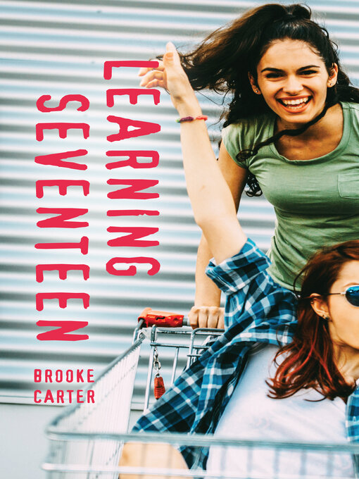 Cover image for Learning Seventeen